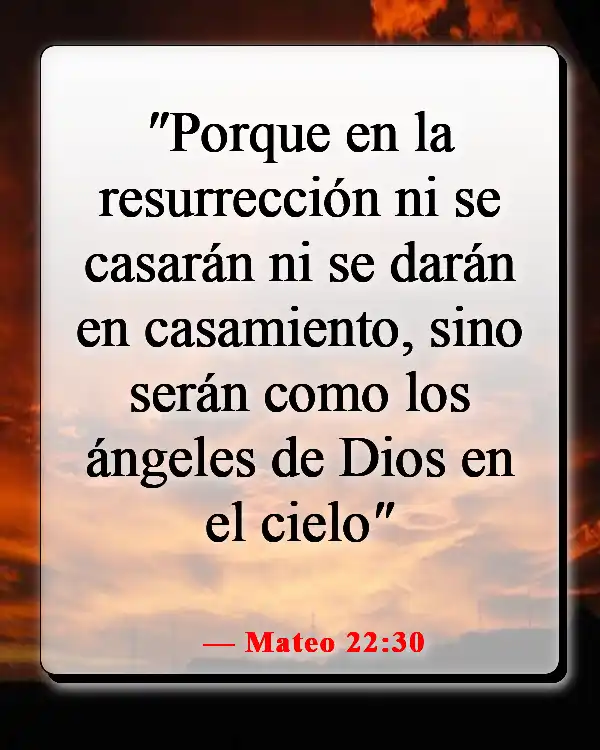 Versículos de la Biblia sobre el cielo y el infierno (Mateo 22:30)