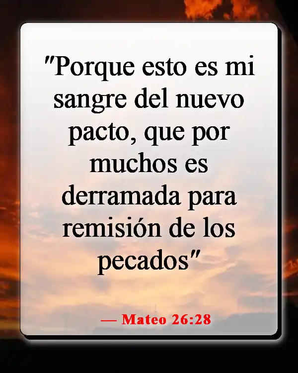 Versículos de la Biblia sobre el sufrimiento de Jesús por nuestros pecados (Mateo 26:28)