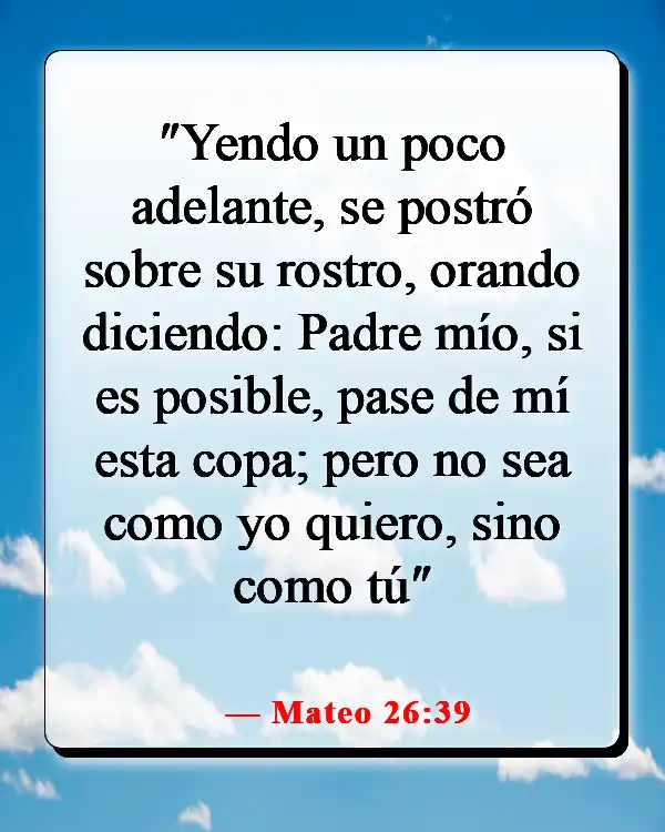 Versículos de la Biblia sobre el sufrimiento de Jesús por nuestros pecados (Mateo 26:39)