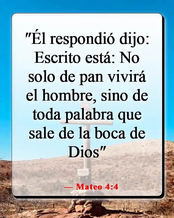 Versículos de la Biblia sobre cómo aplicar las Escrituras a la vida cotidiana (Mateo 4:4)