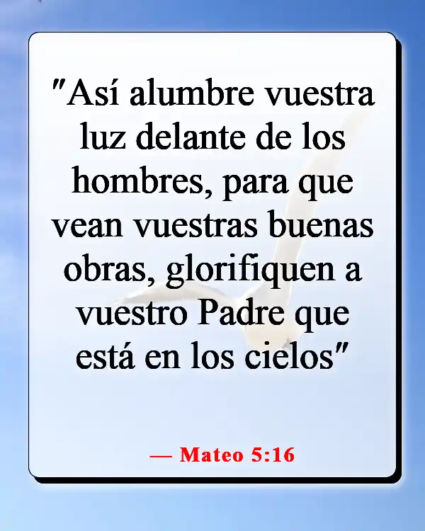 Versículos de la Biblia sobre servir a la iglesia (Mateo 5:16)