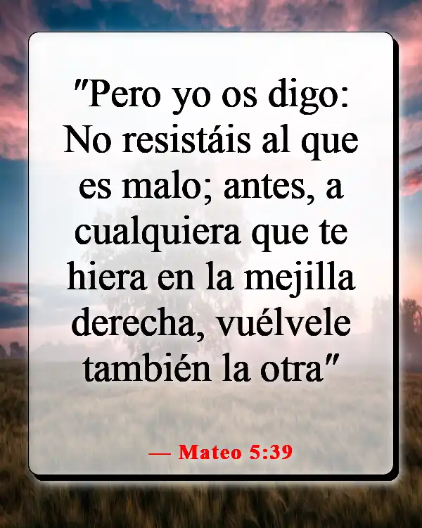 Versículos de la Biblia sobre los que odian (Mateo 5:39)