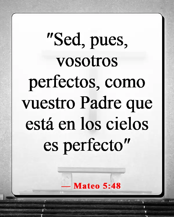 Versículos de la Biblia sobre entrar en el Reino de los Cielos (Mateo 5:48)