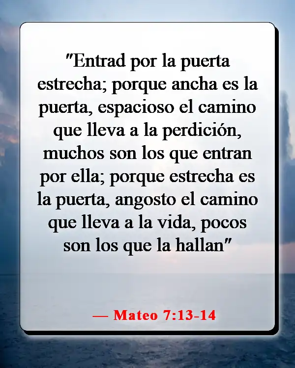 Versículos de la Biblia sobre entrar en el Reino de los Cielos (Mateo 7:13-14)