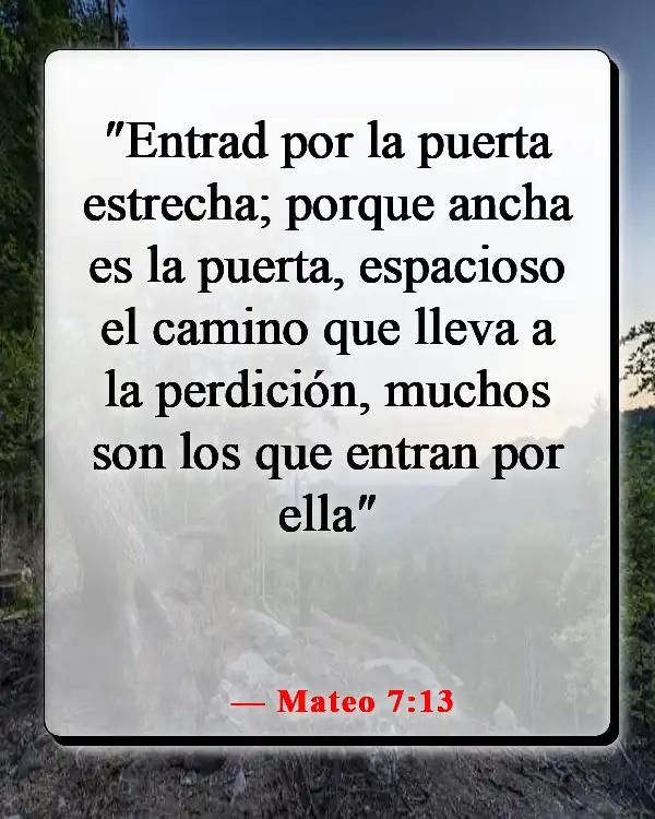 Versículos de la Biblia sobre elegir el camino correcto (Mateo 7:13)