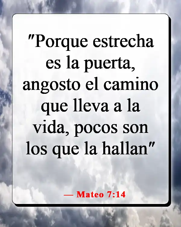 Versículos de la Biblia sobre elegir el camino correcto (Mateo 7:14)