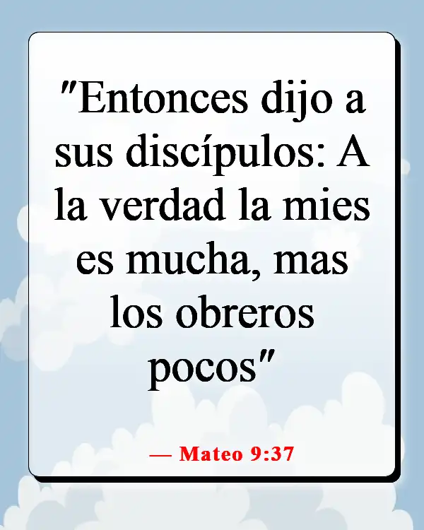 Versículos de la Biblia sobre guiar a otros a Dios (Mateo 9:37)
