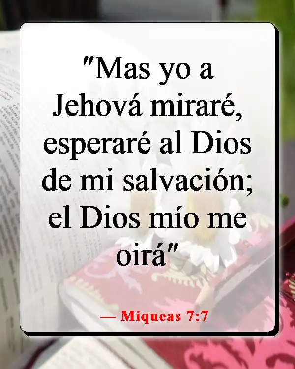 Versículo de la Biblia sobre la paciencia y el tiempo de Dios (Miqueas 7:7)