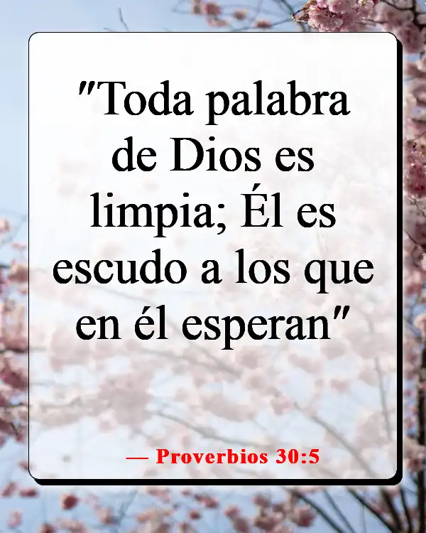 Versículos de la Biblia sobre Dios peleando nuestras batallas (Proverbios 30:5)