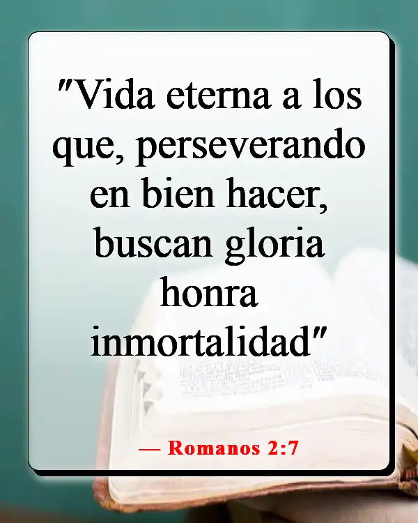 Versículo de la Biblia sobre la paciencia y el tiempo de Dios (Romanos 2:7)