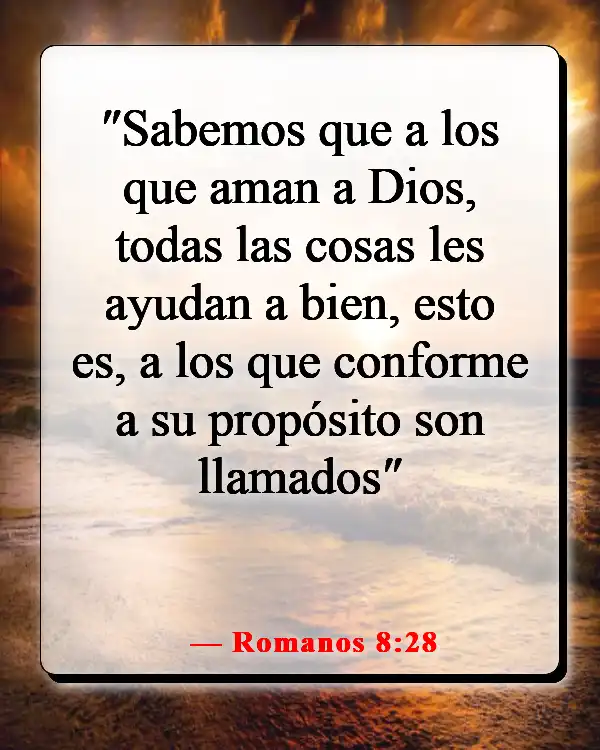 Versículos de la Biblia sobre tomar la decisión correcta (Romanos 8:28)