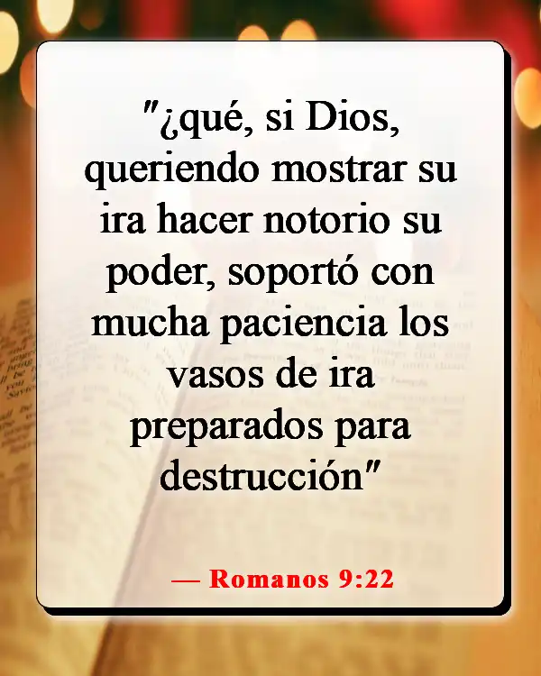 Versículo de la Biblia sobre la paciencia y el tiempo de Dios (Romanos 9:22)