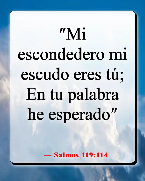 Versículos de la Biblia sobre Dios peleando nuestras batallas (Salmos 119:114)