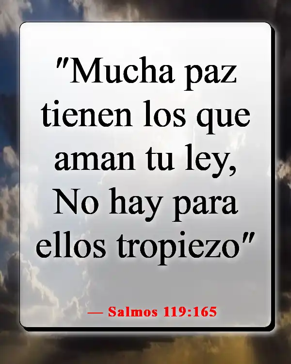 Versículo de la Biblia sobre entregar los problemas a Dios (Salmos 119:165)