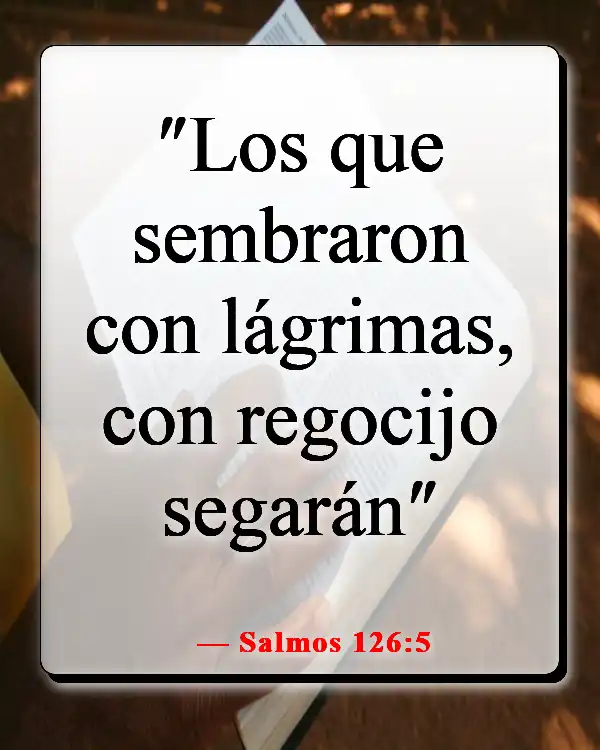 Versículos de la Biblia sobre encontrar gozo y felicidad en el Señor (Salmos 126:5)
