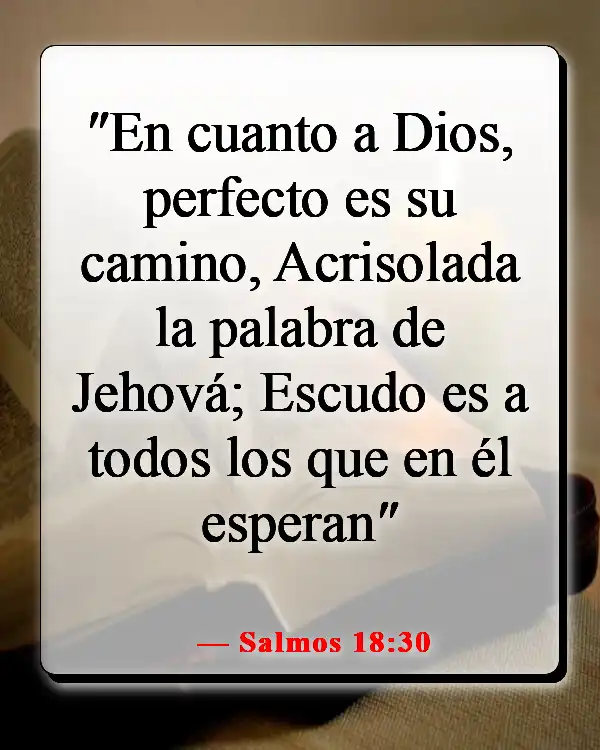 Versículos de la Biblia sobre Dios queriendo lo bueno para nosotros (Salmos 18:30)