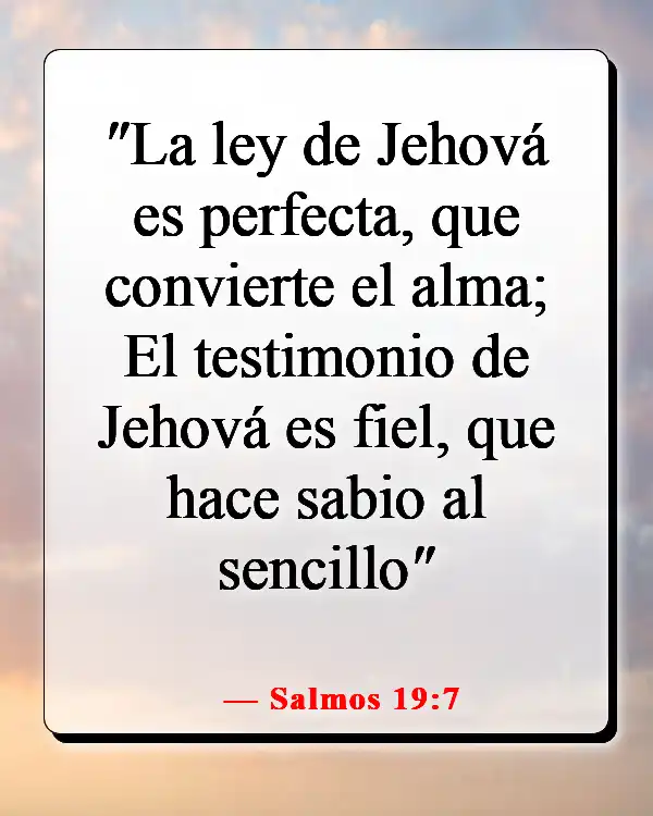 Versículos de la Biblia sobre cómo aplicar las Escrituras a la vida cotidiana (Salmos 19:7)