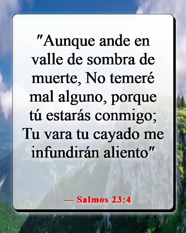 Versículos de la Biblia sobre caminar (Salmos 23:4)