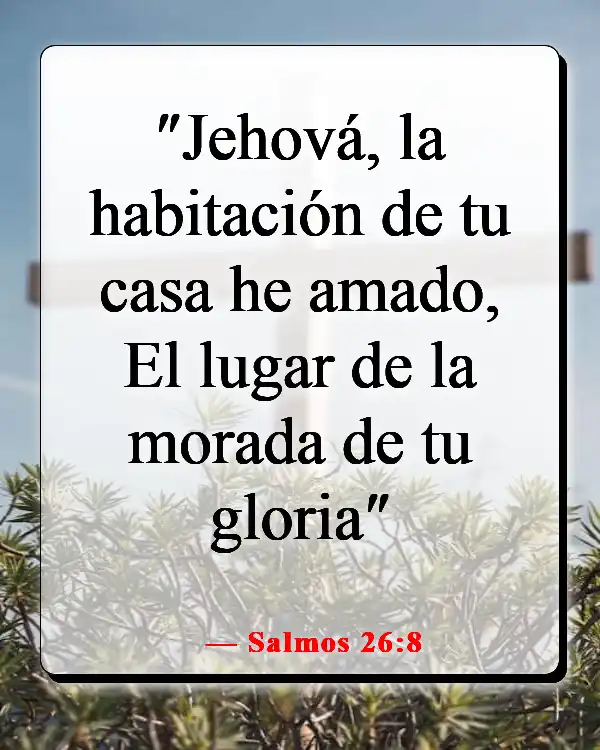 Versículos de la Biblia sobre enamorarse de Jesús (Salmos 26:8)