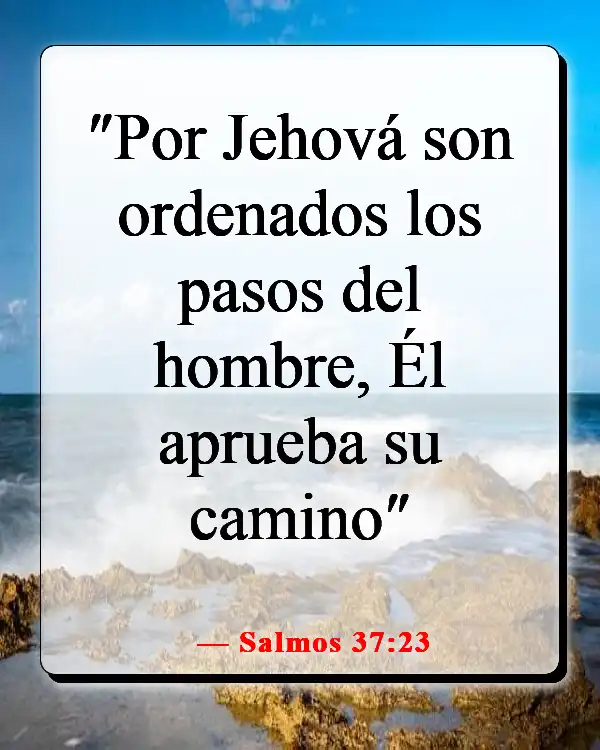 Versículos de la Biblia sobre elegir el camino correcto (Salmos 37:23)