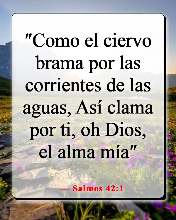 Versículos de la Biblia sobre enamorarse de Jesús (Salmos 42:1)