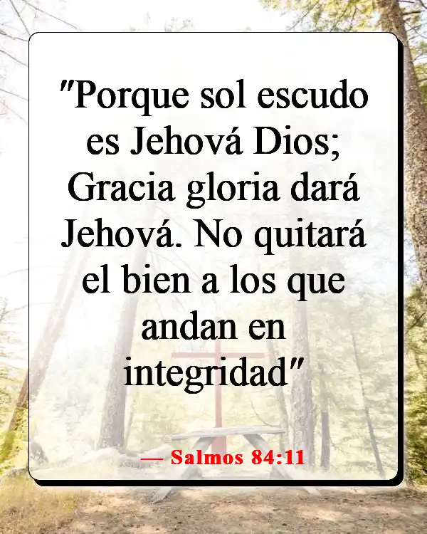 Versículos de la Biblia sobre Dios queriendo lo bueno para nosotros (Salmos 84:11)