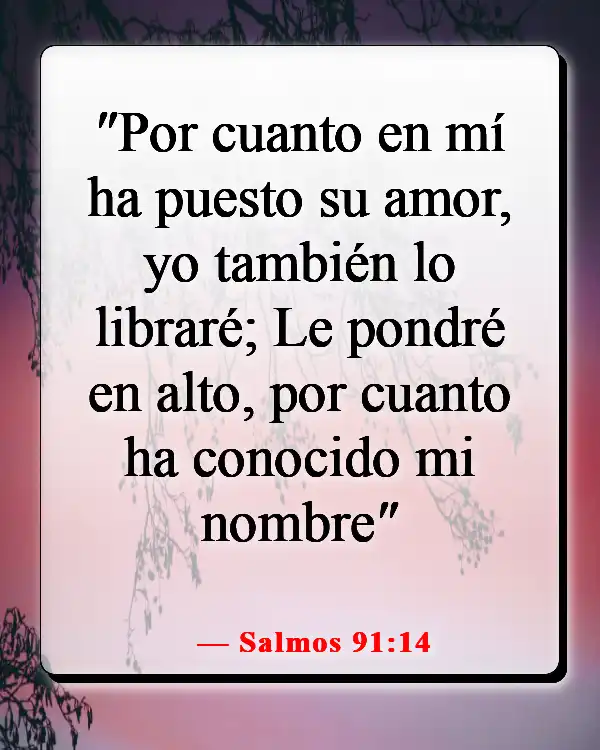 Versículos de la Biblia sobre enamorarse de Jesús (Salmos 91:14)