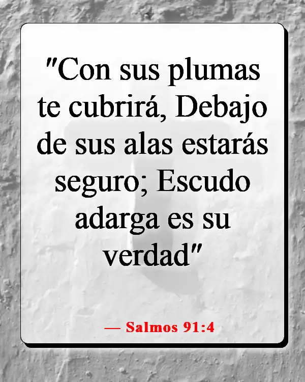Versículos de la Biblia sobre Dios peleando nuestras batallas (Salmos 91:4)