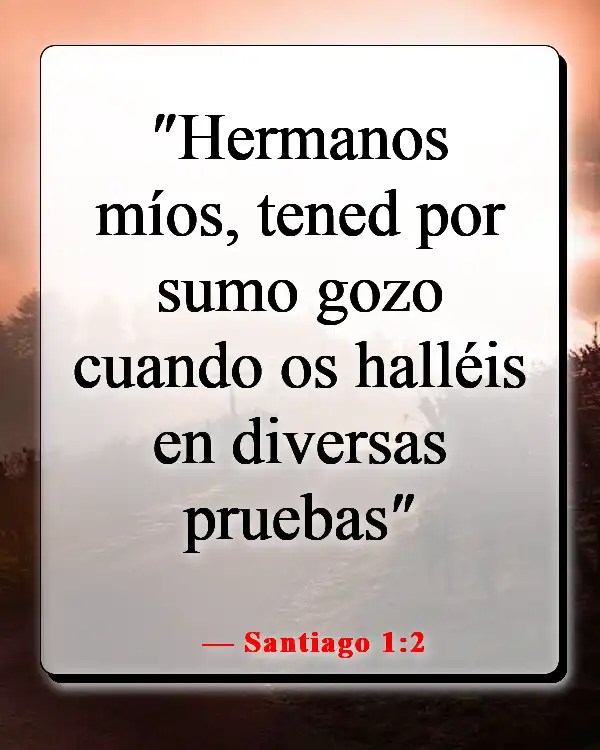 Versículos de la Biblia sobre encontrar gozo y felicidad en el Señor (Santiago 1:2)