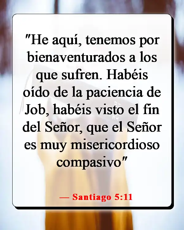 Versículo de la Biblia sobre la paciencia y el tiempo de Dios (Santiago 5:11)