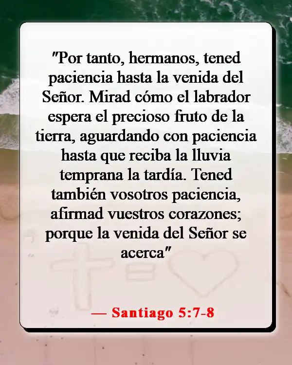 Versículo de la Biblia sobre la paciencia y el tiempo de Dios (Santiago 5:7-8)