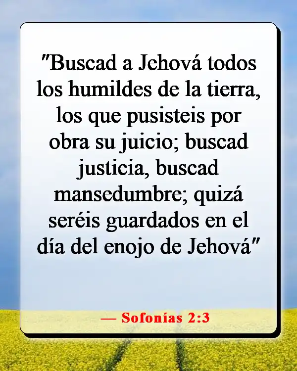 Versículo de la Biblia sobre buscar a Dios temprano en la mañana (Sofonías 2:3)