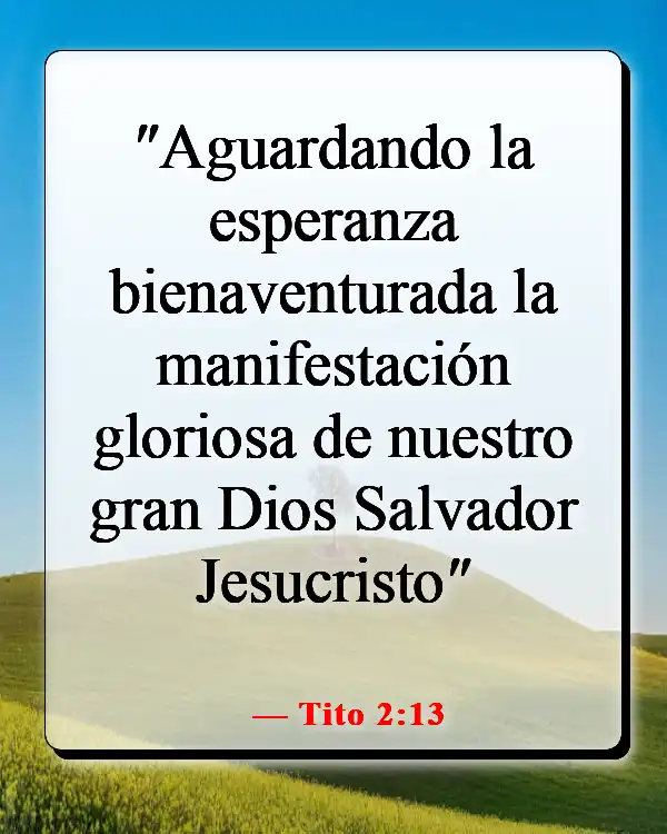 Versículo de la Biblia sobre la paciencia y el tiempo de Dios (Tito 2:13)