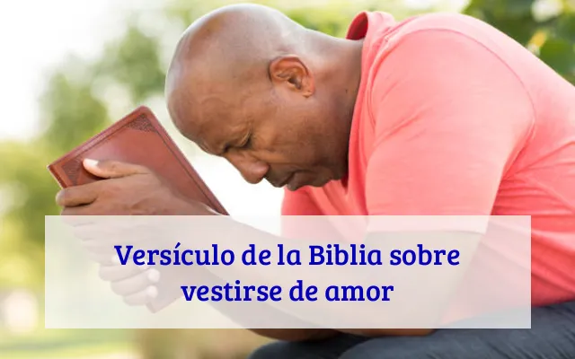 Versículo de la Biblia sobre vestirse de amor