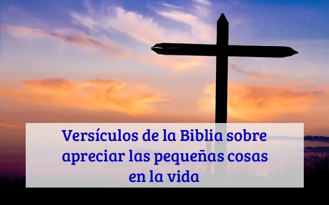 Versículos de la Biblia sobre apreciar las pequeñas cosas en la vida