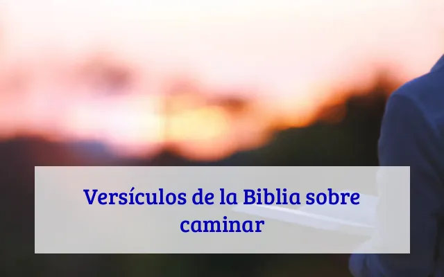 Versículos de la Biblia sobre caminar