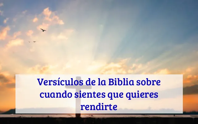 Versículos de la Biblia sobre cuando sientes que quieres rendirte