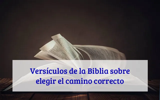 Versículos de la Biblia sobre elegir el camino correcto