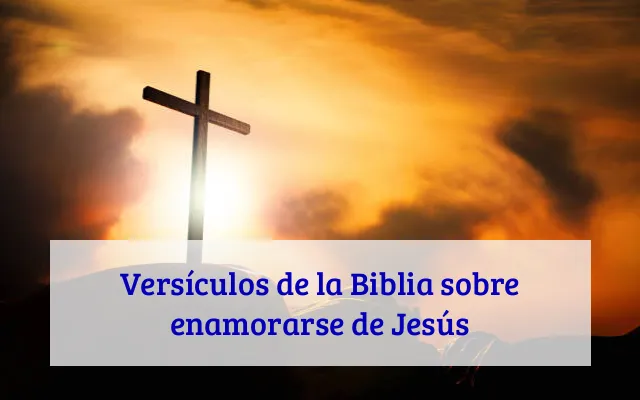 Versículos de la Biblia sobre enamorarse de Jesús