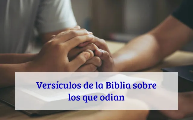 Versículos de la Biblia sobre los que odian