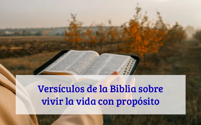 Versículos de la Biblia sobre vivir la vida con propósito